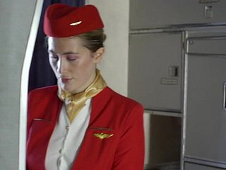 New chum thing embrace dramatize expunge stewardess
