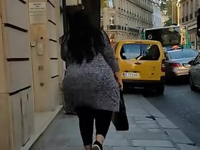Puszyste Walking na ulicy (Francja)